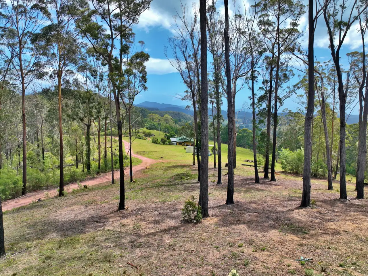 Main view of Homely land listing, 371 Ruggs Road, Nethercote NSW 2549