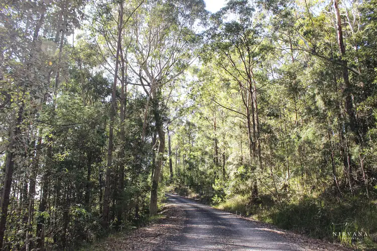 Second view of Homely rural property listing, LOT 41, 271 Lemon Tree Creek Road, Termeil NSW 2539