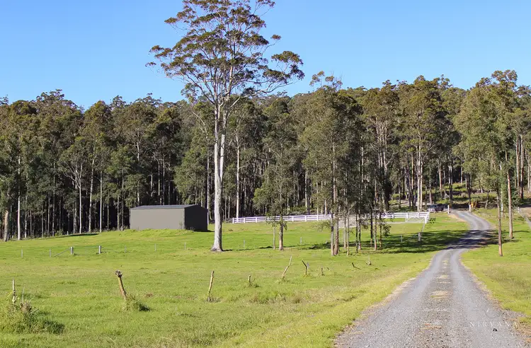Third view of Homely rural property listing, LOT 41, 271 Lemon Tree Creek Road, Termeil NSW 2539