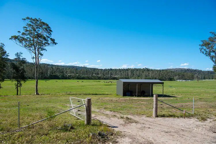 Sixth view of Homely rural property listing, LOT 41, 271 Lemon Tree Creek Road, Termeil NSW 2539