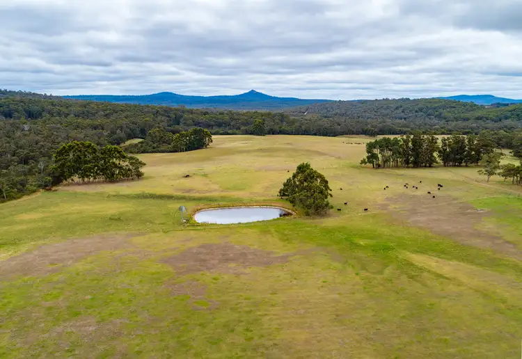 Fifth view of Homely rural property listing, LOT 13070, Lot 13070 bridge road, North Walpole WA 6398