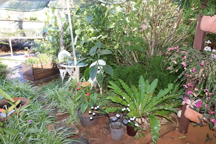 Third view of Homely house listing, 3898 Bundaberg Gin Gin Road, Bullyard QLD 4671