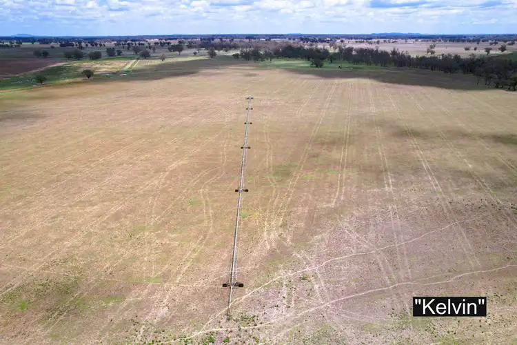 Second view of Homely rural property listing, 01 Bedgerabong Road, Forbes NSW 2871