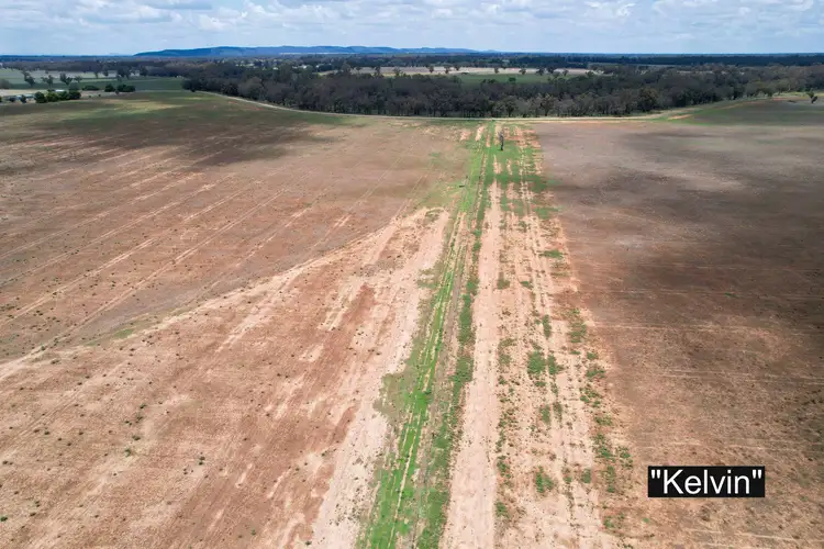 Third view of Homely rural property listing, 01 Bedgerabong Road, Forbes NSW 2871