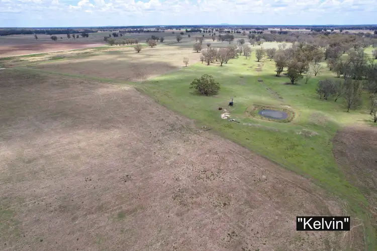 Sixth view of Homely rural property listing, 01 Bedgerabong Road, Forbes NSW 2871