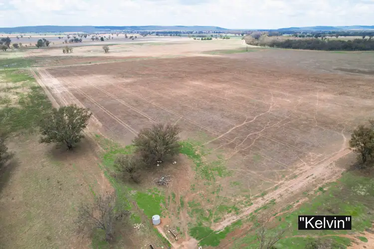 Seventh view of Homely rural property listing, 01 Bedgerabong Road, Forbes NSW 2871