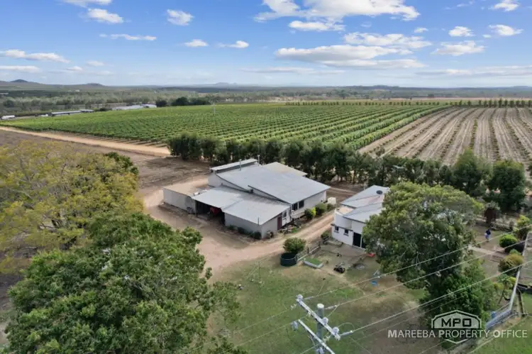 Second view of Homely rural property listing, 20 Darrell Road, Dimbulah QLD 4872