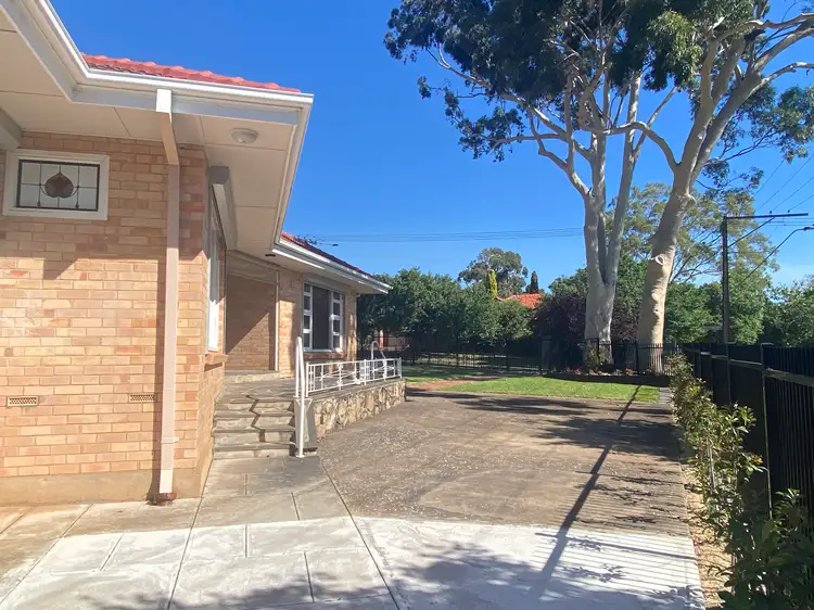 37 Park Avenue, Rosslyn Park SA 5072