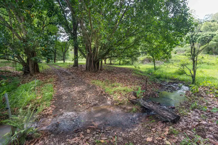 Second view of Homely rural property listing, 353 Gungas Road, Nimbin NSW 2480