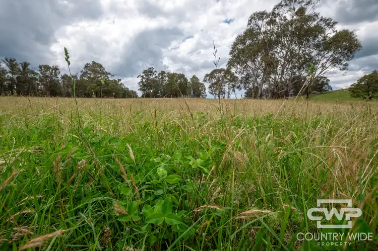 LOT 1, - Watsons Road, Pinkett NSW 2370