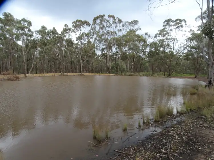 Third view of Homely rural property listing, 385 East Boundary Road, Murchison VIC 3610