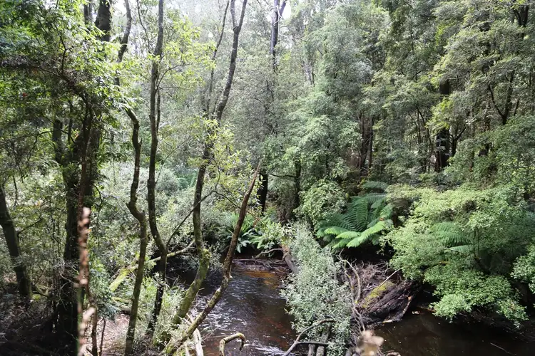 Third view of Homely land listing, 1 Croles Road, Trowutta TAS 7330