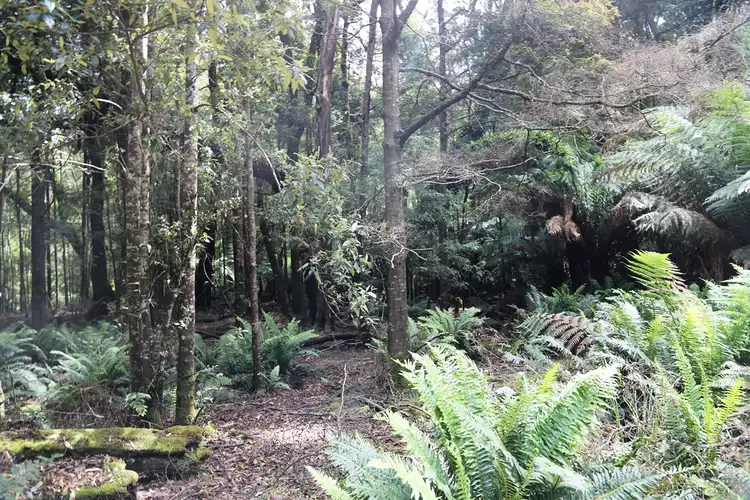 Fourth view of Homely land listing, 1 Croles Road, Trowutta TAS 7330