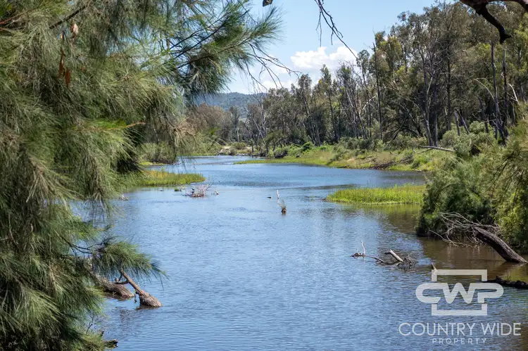 Sixth view of Homely rural property listing, 9699 Bruxner Highway, Bonshaw NSW 2361