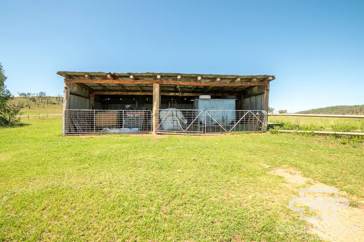 Seventh view of Homely rural property listing, 9699 Bruxner Highway, Bonshaw NSW 2361