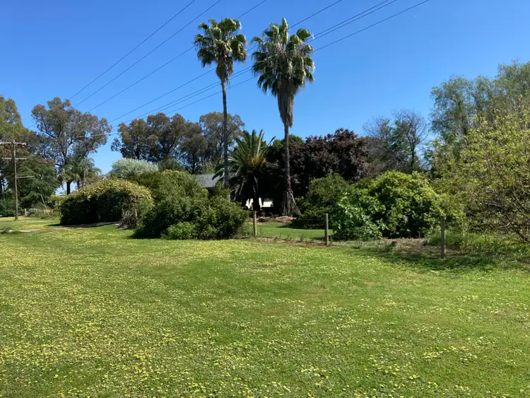 Fifth view of Homely rural property listing, 198 Lower Bathurst Street, Forbes NSW 2871