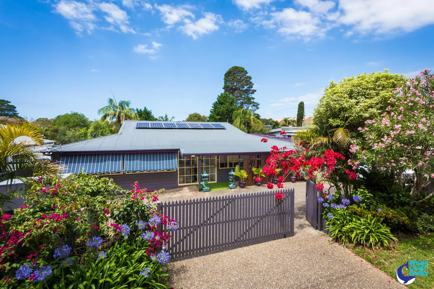 Main view of Homely house listing, 241 Princes Highway, Narooma NSW 2546