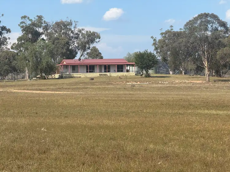 207 Redmanvale Road, Jerrys Plains NSW 2330
