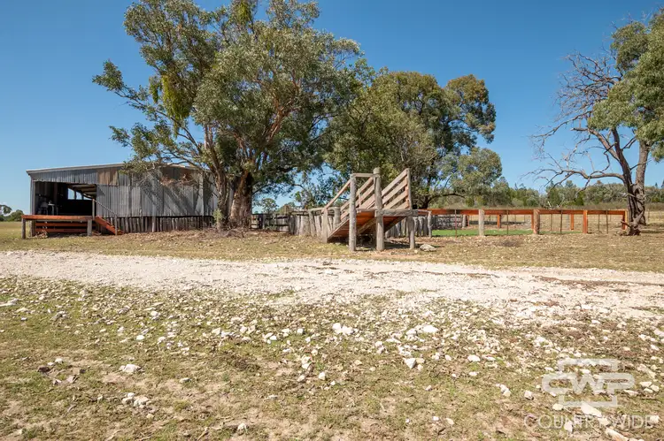 Second view of Homely rural property listing, LOT 1, - Emmaville Rd, Inverell NSW 2360