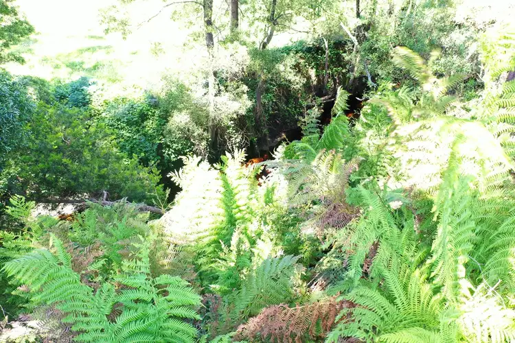 Fourth view of Homely land listing, 1 Yanns Road, Rocky Cape TAS 7321