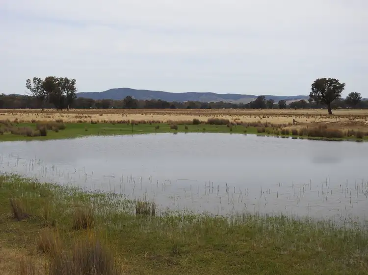 Main view of Homely rural property listing, 192 Hoskin Lane, Violet Town VIC 3669
