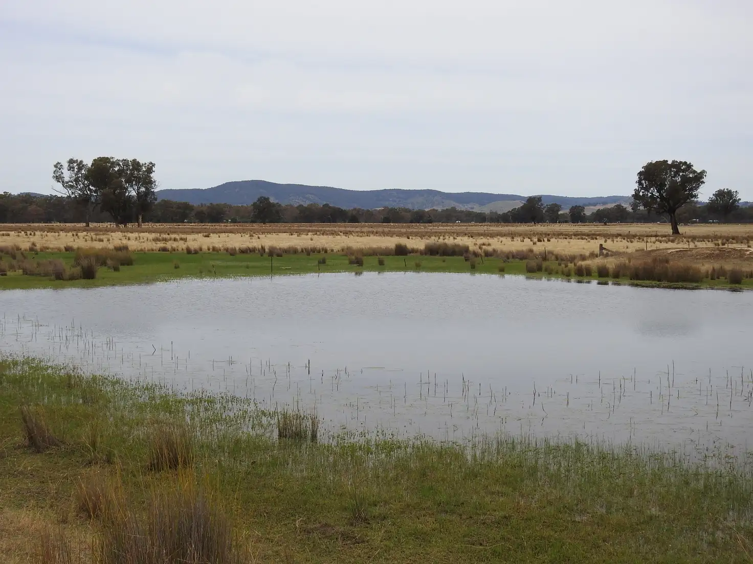 Main view of Homely rural property listing, 192 Hoskin Lane, Violet Town VIC 3669