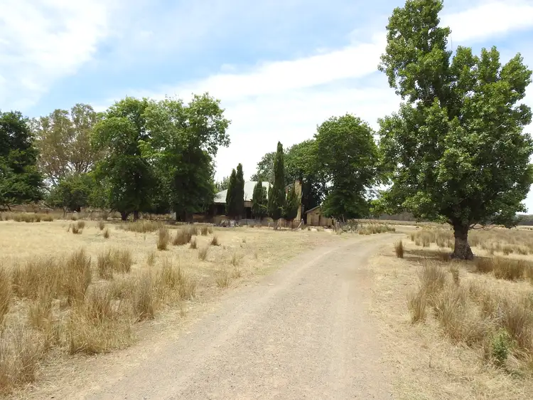 Second view of Homely rural property listing, 192 Hoskin Lane, Violet Town VIC 3669
