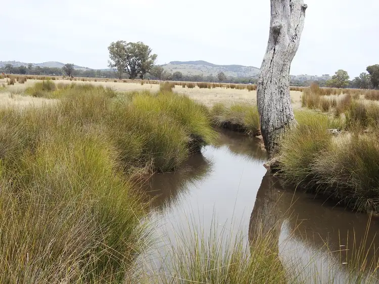 Third view of Homely rural property listing, 192 Hoskin Lane, Violet Town VIC 3669