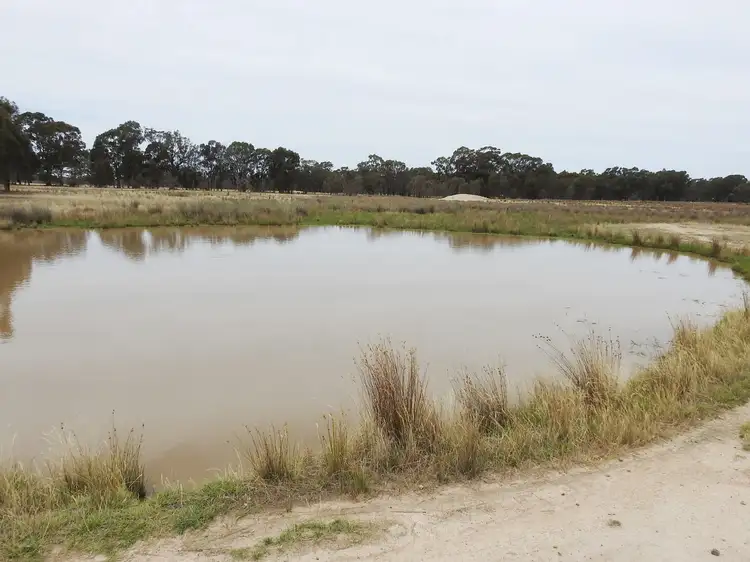 Fifth view of Homely rural property listing, 192 Hoskin Lane, Violet Town VIC 3669