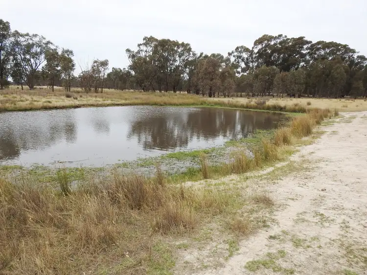 Sixth view of Homely rural property listing, 192 Hoskin Lane, Violet Town VIC 3669