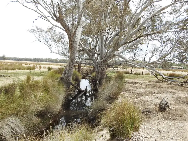 Seventh view of Homely rural property listing, 192 Hoskin Lane, Violet Town VIC 3669