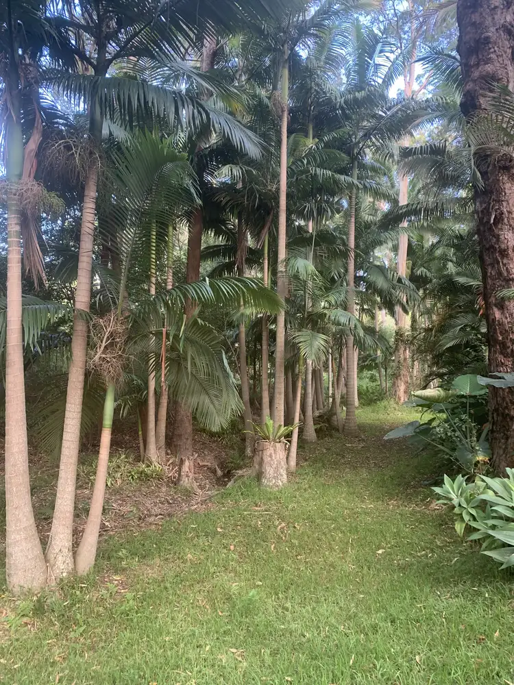 Third view of Homely land listing, 43 PARADISE DRIVE, Smiths Lake NSW 2428