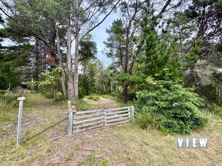 Main view of Homely land listing, 67 Falmouth Street, St Helens TAS 7216