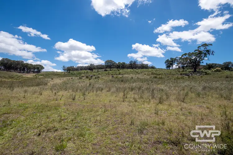 Third view of Homely rural property listing, LOT 95, 2202 Wellington Vale Road, Emmaville NSW 2371
