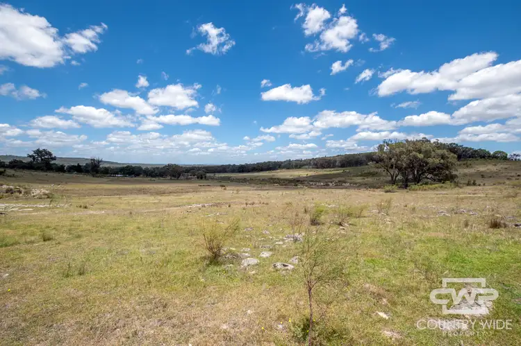 Fifth view of Homely rural property listing, LOT 95, 2202 Wellington Vale Road, Emmaville NSW 2371