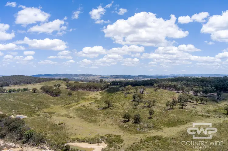 Main view of Homely rural property listing, LOT 162, 2202 Wellington Vale Road, Emmaville NSW 2371