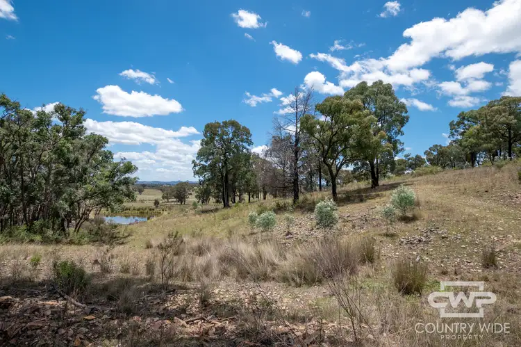 Fifth view of Homely rural property listing, LOT 162, 2202 Wellington Vale Road, Emmaville NSW 2371