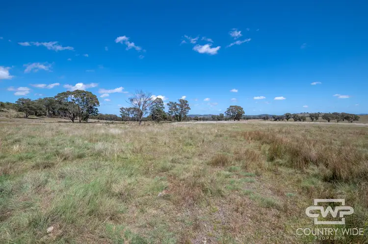 Second view of Homely rural property listing, LOT 623 & 624, 2202 Wellington Vale Road, Emmaville NSW 2371