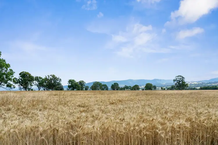 Third view of Homely land listing, 1522 Long Lane, Barwite VIC 3722