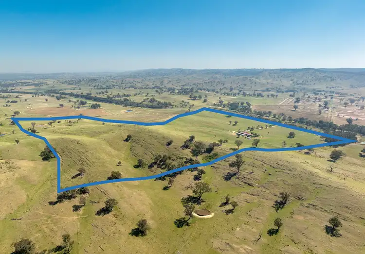 Second view of Homely rural property listing, 4535 Burrendong Way, Euchareena NSW 2866