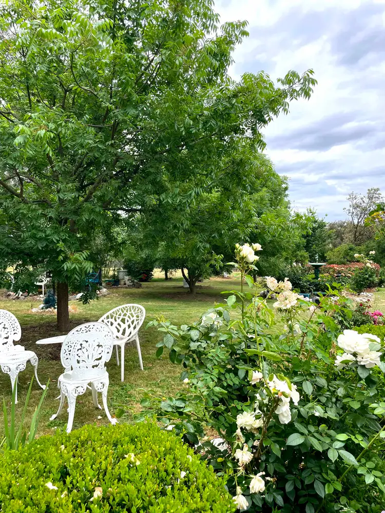 Fifth view of Homely rural property listing, "Abbyville" 90 Convent Lane, Borenore NSW 2800
