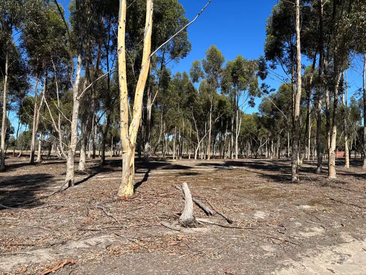 Second view of Homely land listing, 80 Bushby Lane, Dimboola VIC 3414