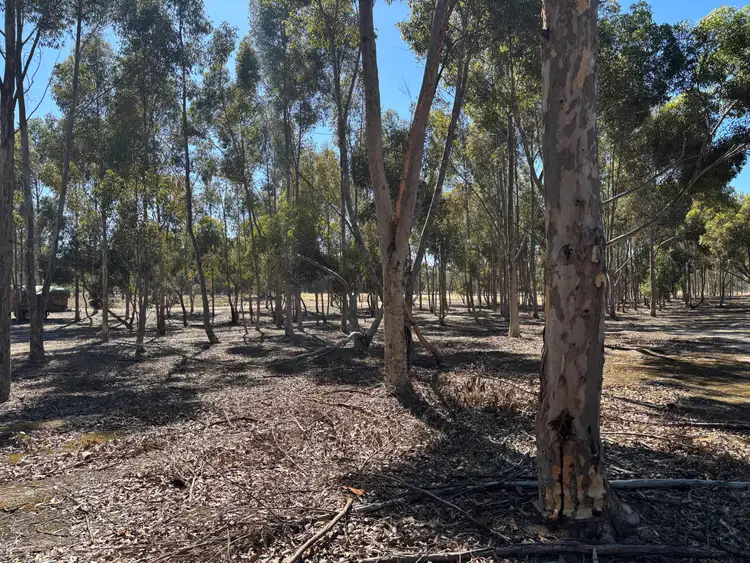 Fifth view of Homely land listing, 80 Bushby Lane, Dimboola VIC 3414