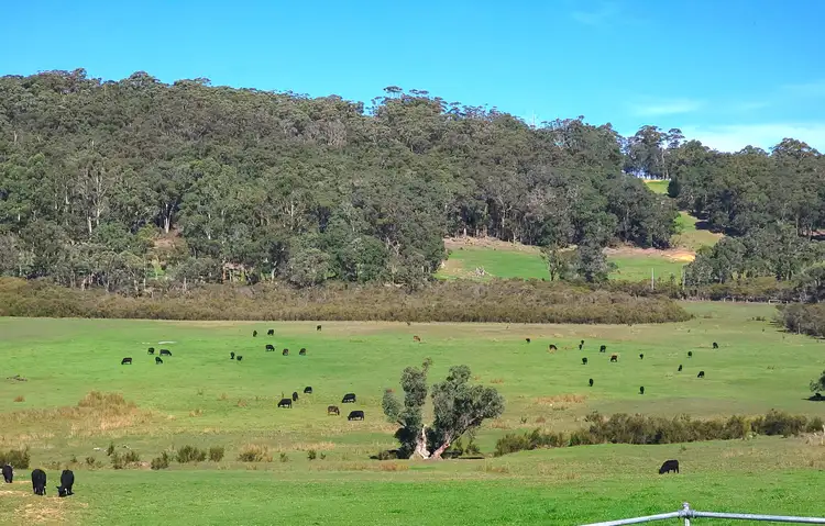 Third view of Homely rural property listing, LOT 21, lot 21 hazelvale road, Tingledale WA 6333