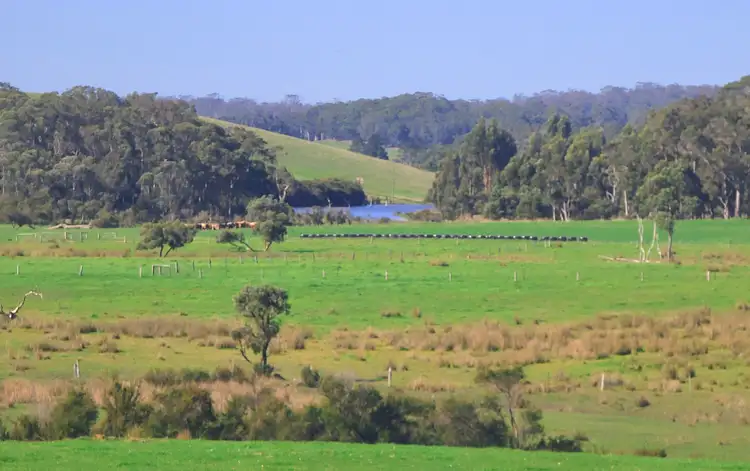 Fourth view of Homely rural property listing, LOT 21, lot 21 hazelvale road, Tingledale WA 6333