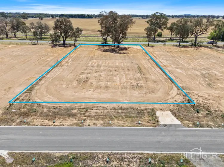 214 Damian Crescent, Mulwala NSW 2647