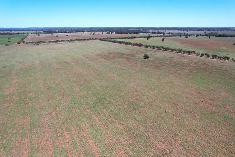 371 Blue Letterbox Lane, Tullamore NSW 2874