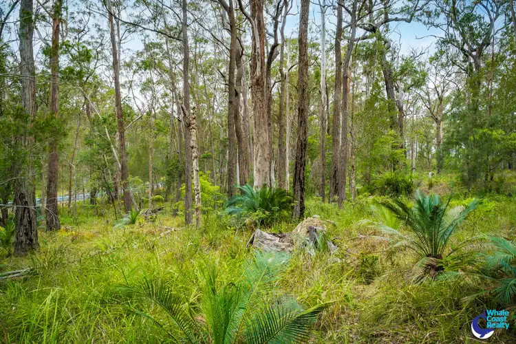 Sixth view of Homely land listing, 1067 CONGO ROAD, Meringo NSW 2537