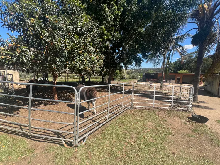 Fifth view of Homely rural property listing, 20 Lugarno Place, The Oaks NSW 2570