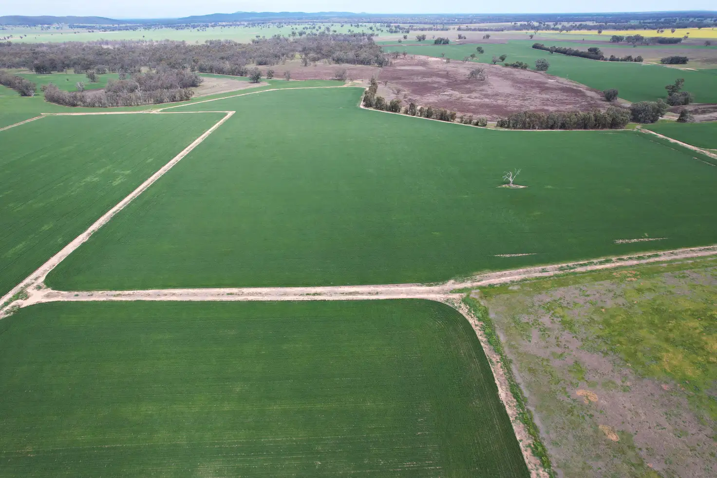 Main view of Homely rural property listing, 2071 Yarrabandai Road, Bedgerabong NSW 2871